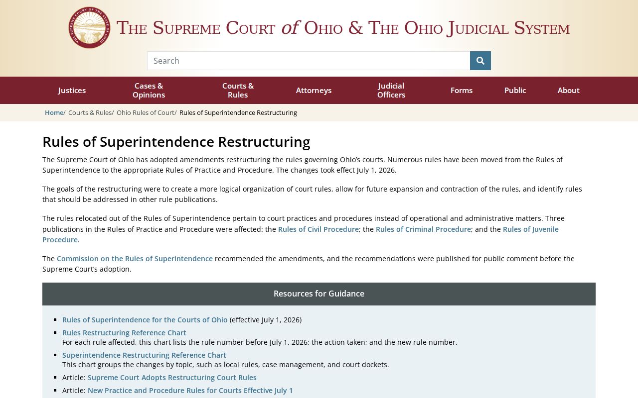 Belle Valley court records page visual for Ohio court-record access rules update