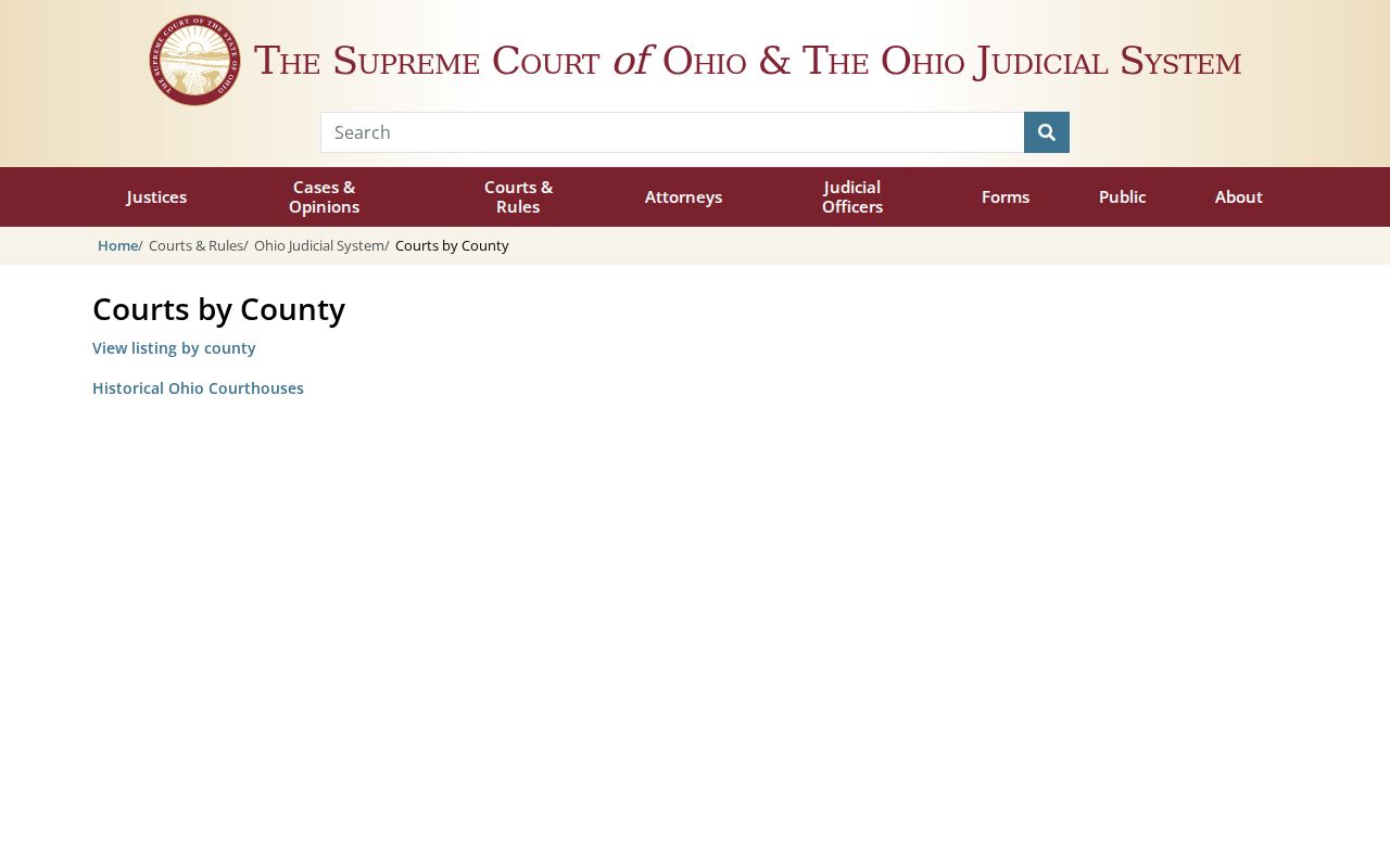 Noble County case search Ohio trial-court directory
